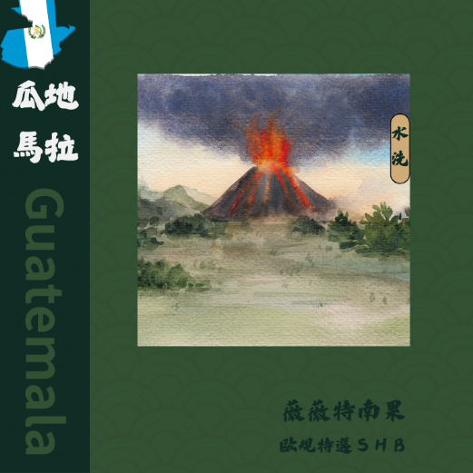 瓜地馬拉 薇薇特南果 SHB